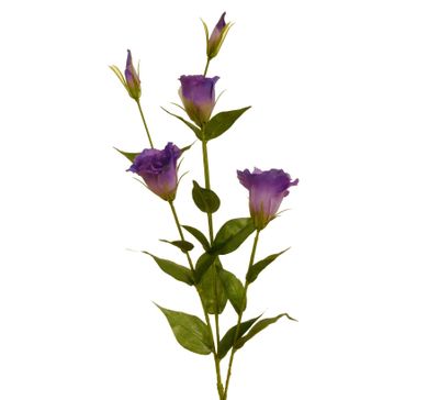84cm Eustoma Spray x3 Purple