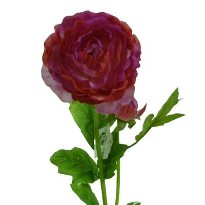 56cm Ranunculus With Bud Fuchsia