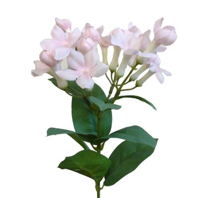 55cm Stephanotis Spray Pink