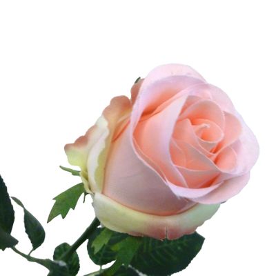 58cm Rose Bud Pink