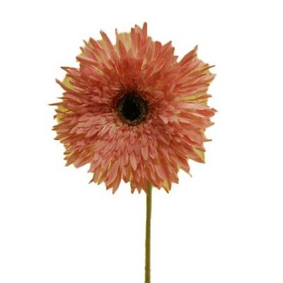 85cm Gerbera Daisy Stem Pink