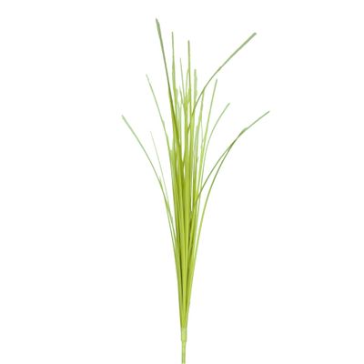 Onion Grass Stem Beige