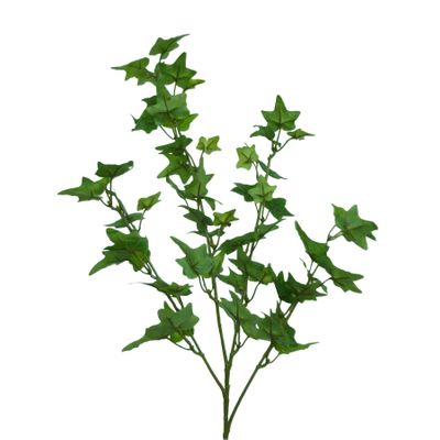 Sm English Ivy  Spray Green