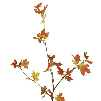 Maple Spray Red
