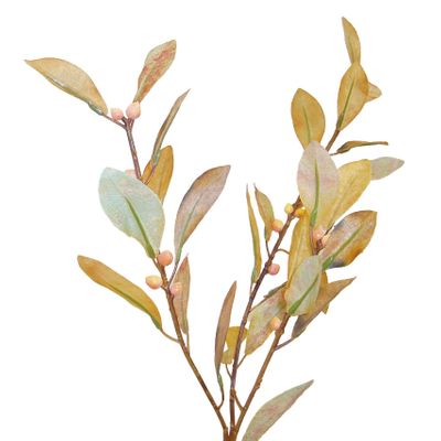 Berry Spray Brown Mustard