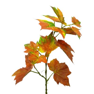 46cm Canada Maple Leaf Burgundy