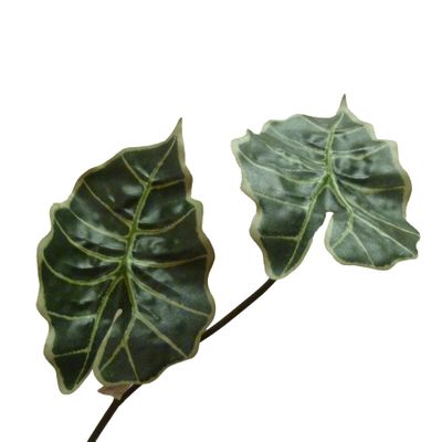 43cm Alocasia Leaf x2