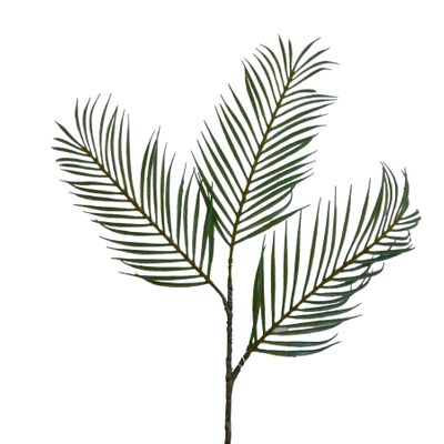 84cm Palm Leaf x3