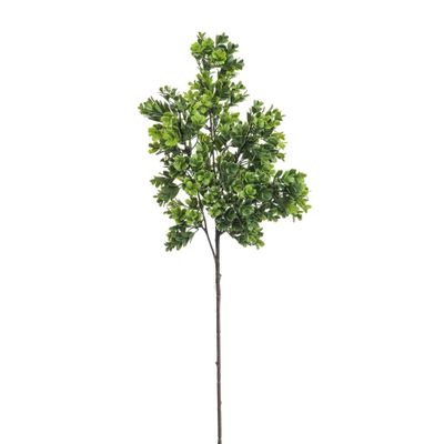 33" Boxwood Spray