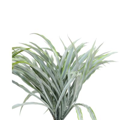 Grass Bush Green Edge