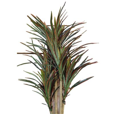 92cm Yucca Tree Red/Green