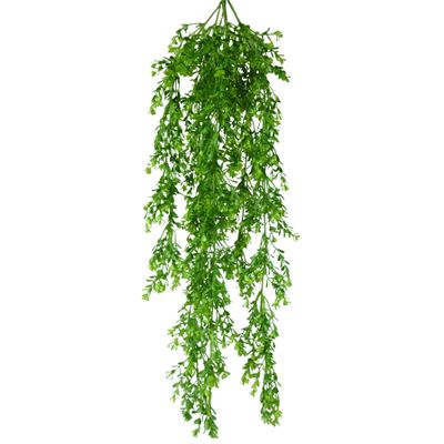 Boxwood Spray x8
