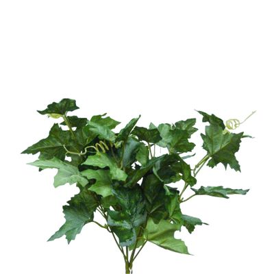 33cm Maple Leaf Bush x56