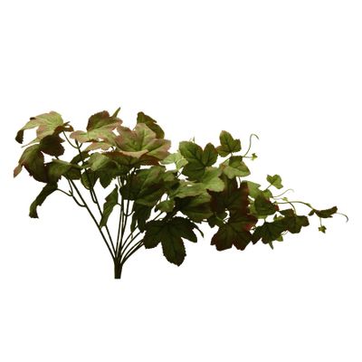 23" Holly Hock Bush Green/Red