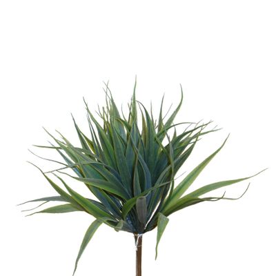Vanilla Grass Bush