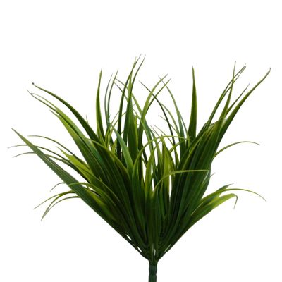 36cm Yucca Bush x7 Variegated
