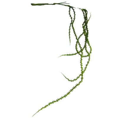 Thistle Vine Green/Yellow
