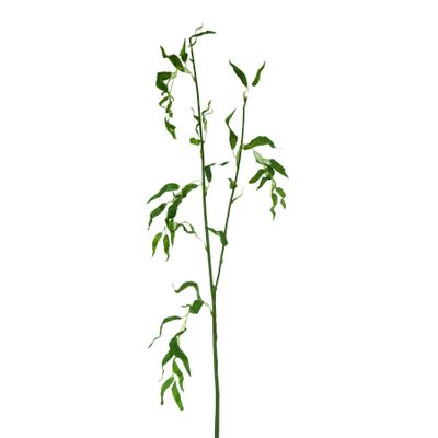 Curl Leaf Spray Lt. Green
