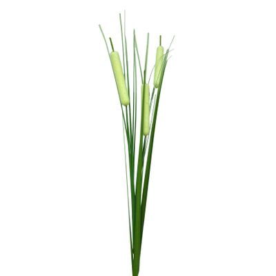 Cattail Spray Cream