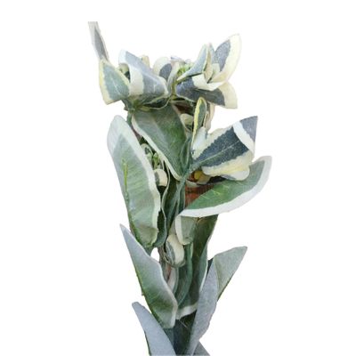 64cm Flocked Euphorbia Spray
