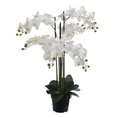 90cm Orchid Pot Cream