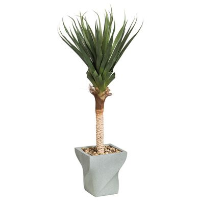 130cm Spiked Agave Tree w/Planter
