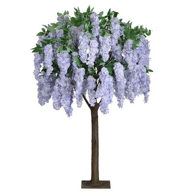 1.8m Wisteria Tree Lavender