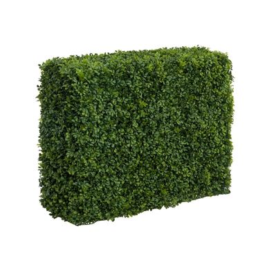 38" Boxwood Hedge
