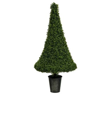55" Boxwood Tower UVP