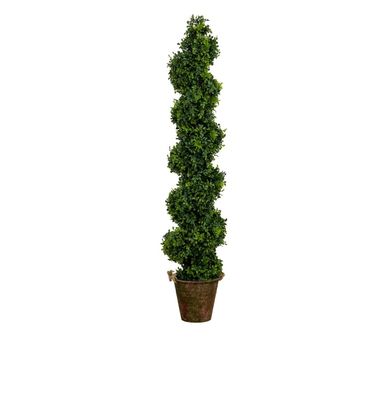 48" Boxwood Spiral Top UVP