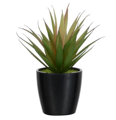 16cm Succulent Black Pot