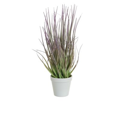 46cm Grass w/White Pot Purple
