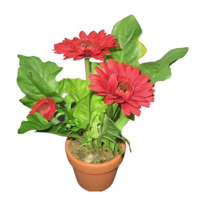 Gerbera Pot Red