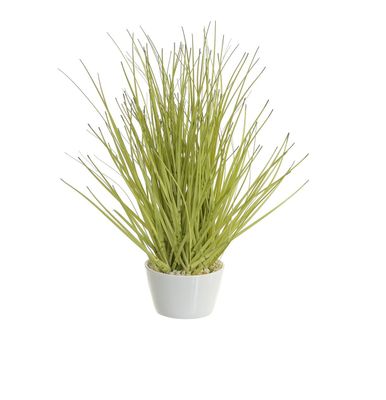 26cm Grass w/Ceramic Pot Green