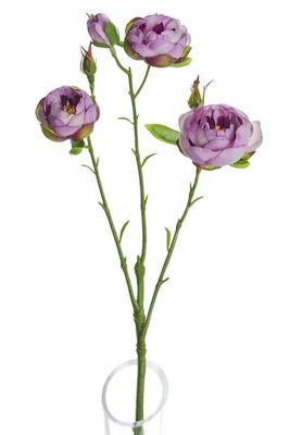 Lydia Ranunculus Spray Purple