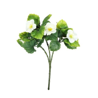 Exterior Junglist Pansy Bush U.V - Cream - 21cm