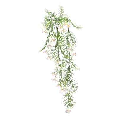 Exterior Cosmos Bush U.V - Pink - 72cm