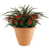 Spider Rose Tub 