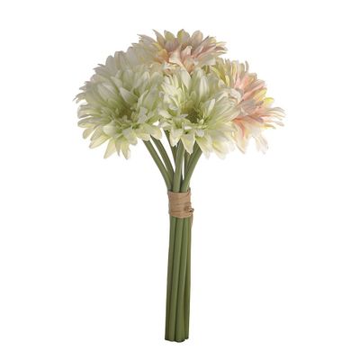 SORBET GERBERA BUNDLE X 8 CREAM
