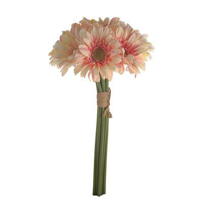 SORBET GERBERA BUNDLE X 8 PEACH