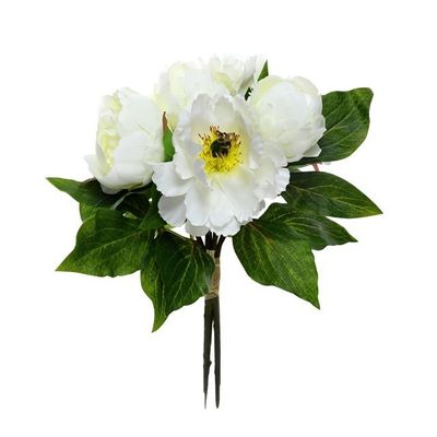 Bundle Peony Cream