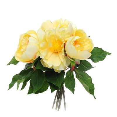 Bundle Peony Yellow