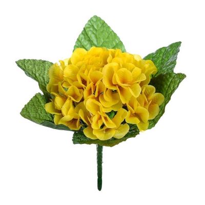 Primula Bush Yellow