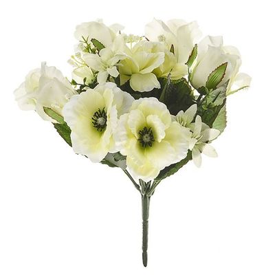 Flora Rose/Anemone Bush Cream