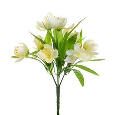 Crocus Bush Cream