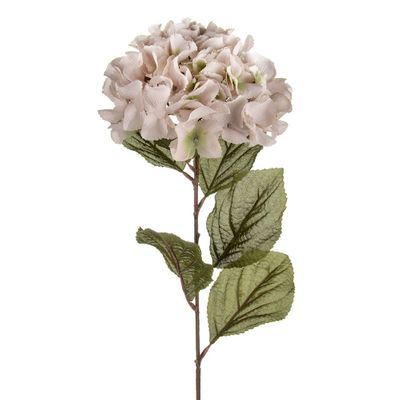 Hydrangea Cream 72Cm