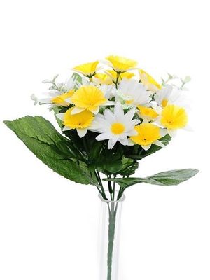Flora Daff/Daisy Bush Wht/Yel
