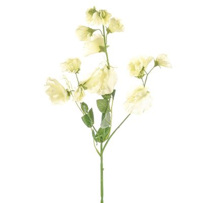 Dawn Sweetpea Green 68Cm
