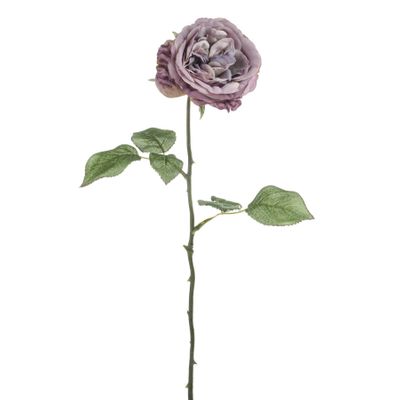 MIA Rose Purple 56Cm