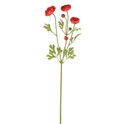 Fiesta Ranunculus Pink 66Cm